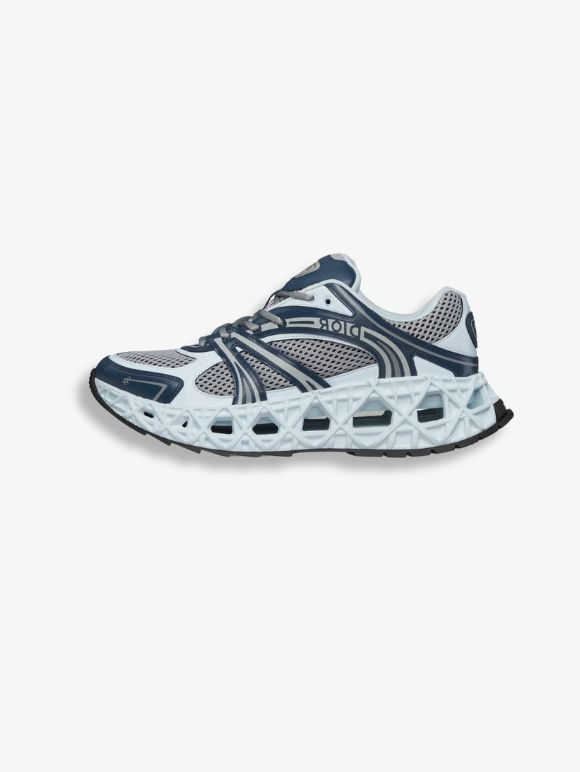 Dior B35 Grises