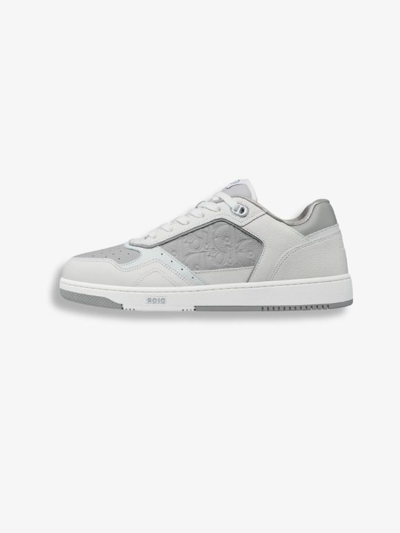 Dior B27 Grises